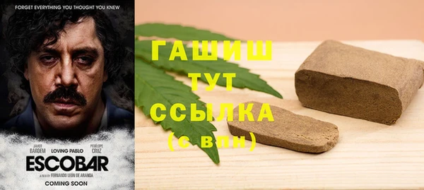 дмт Алексин