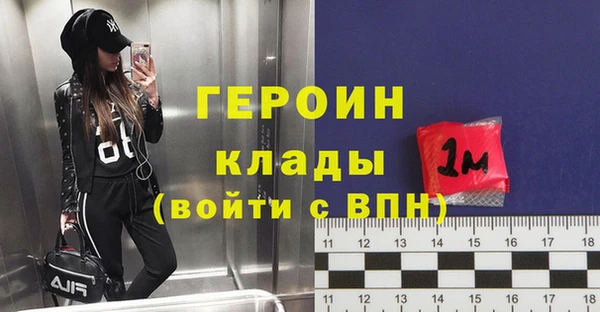 прущие грибы Переславль-Залесский